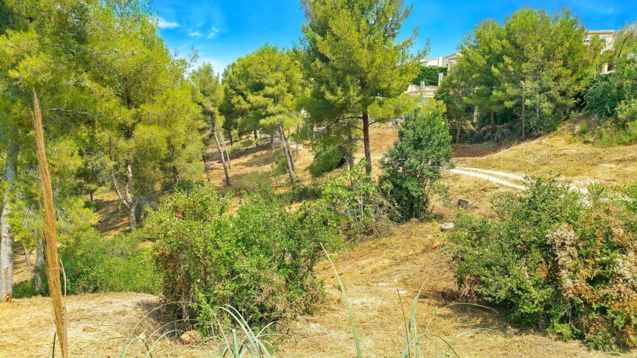 Reiala Villa